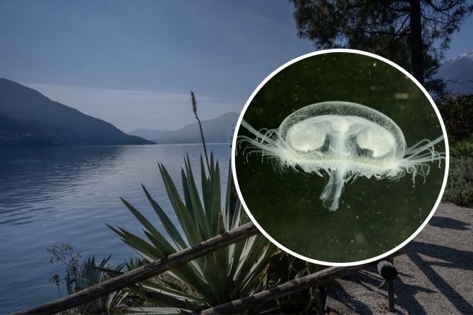 Lago Maggiore