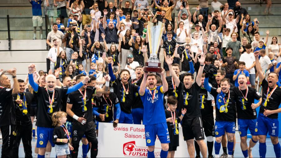 Futsal Minerva