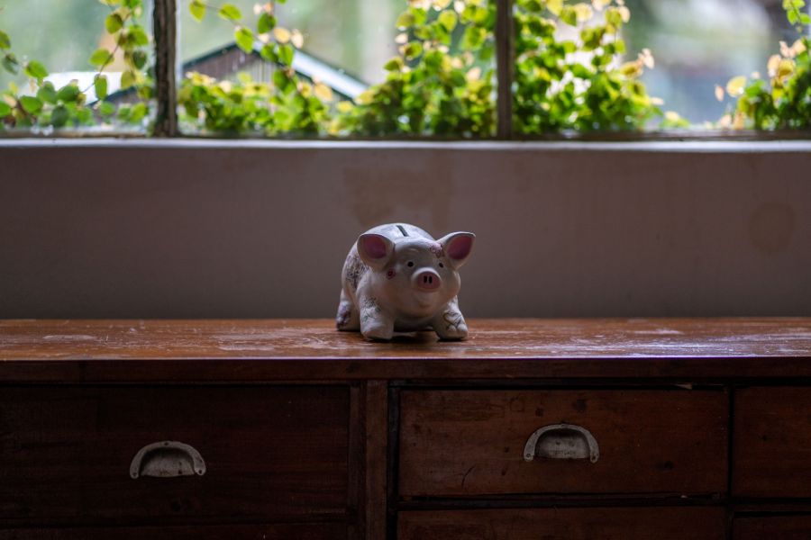 Sparschwein