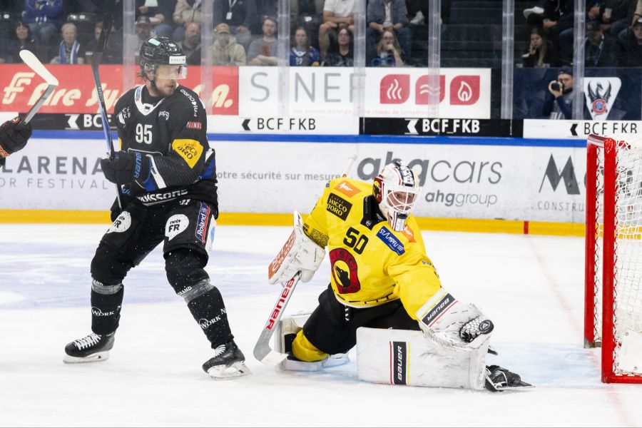SC Bern Fribourg-Gottéron