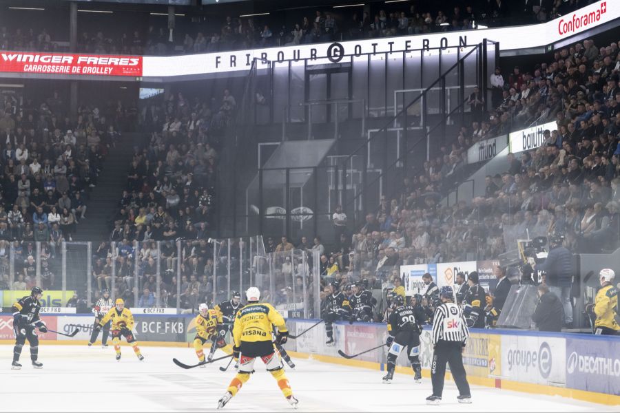 sc bern