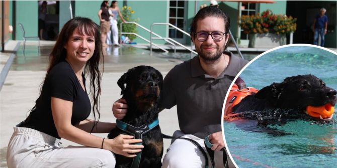 Hunde erobern die Badi Aarburg