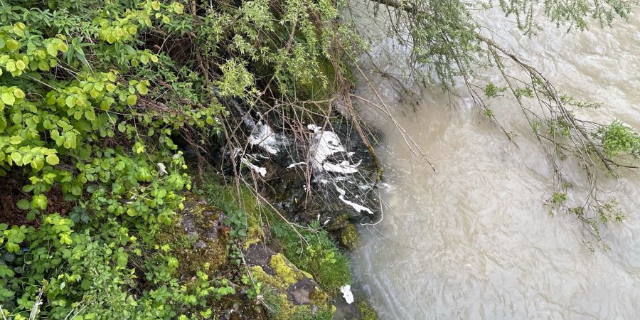 Gewässerverschmutzung in Goldach.