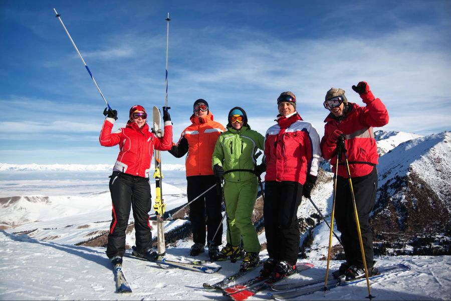 Gruppe, Ski, Berge