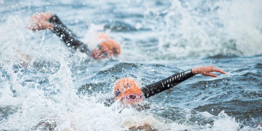 Mehrere Schwimmer in einem kalten Gewässer mit Badekappen und Neopren