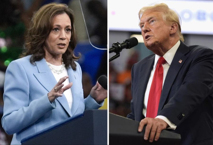 trumps harris