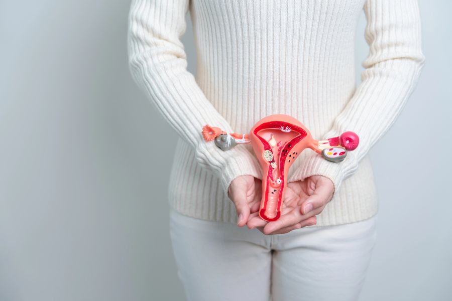 perimenopause