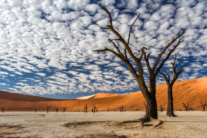 Aussergewöhnliche Ferien erleben Naturfans unter anderem in Namibia. Sossusvlei, Namibia