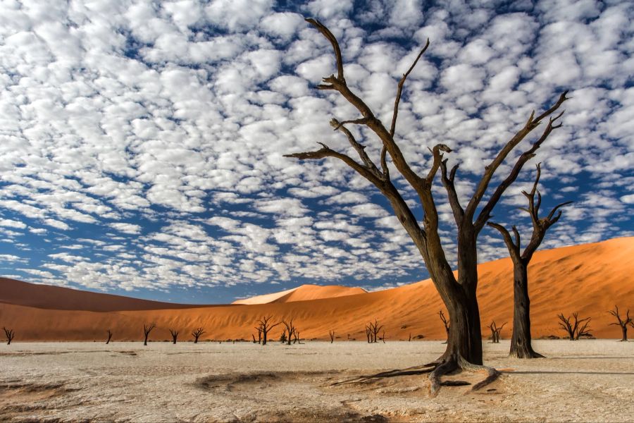 Sossusvlei, Namibia