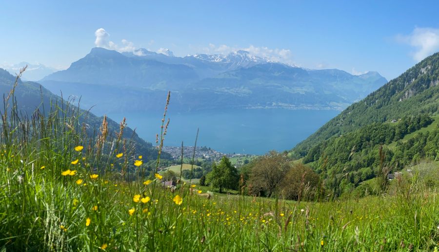 Wanderung Rigi Aussicht