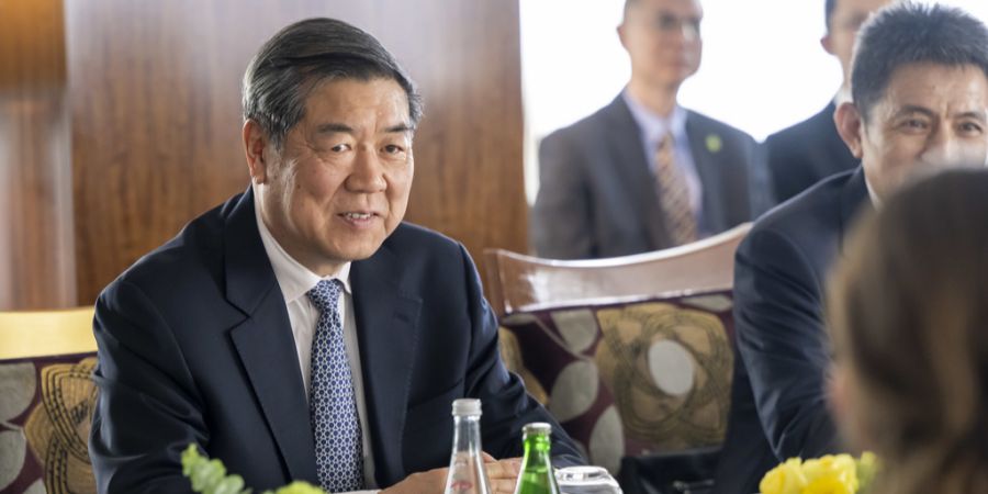 Vice Premier Lifeng