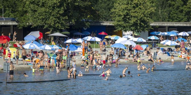 lido graugänse