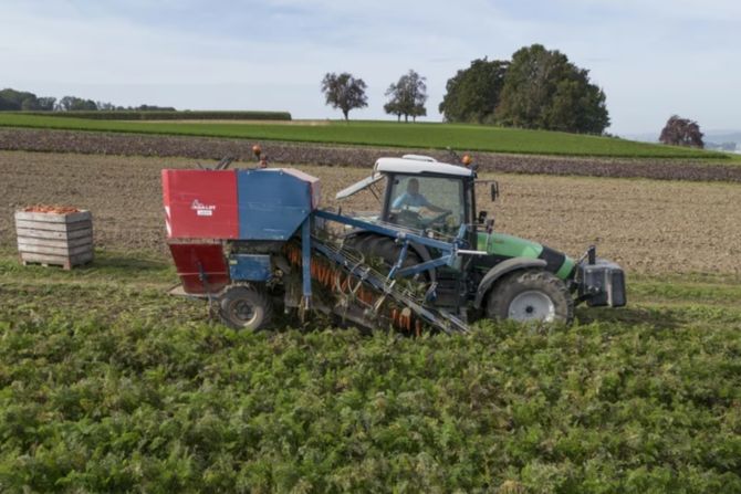 Traktor Bauer Deuz
