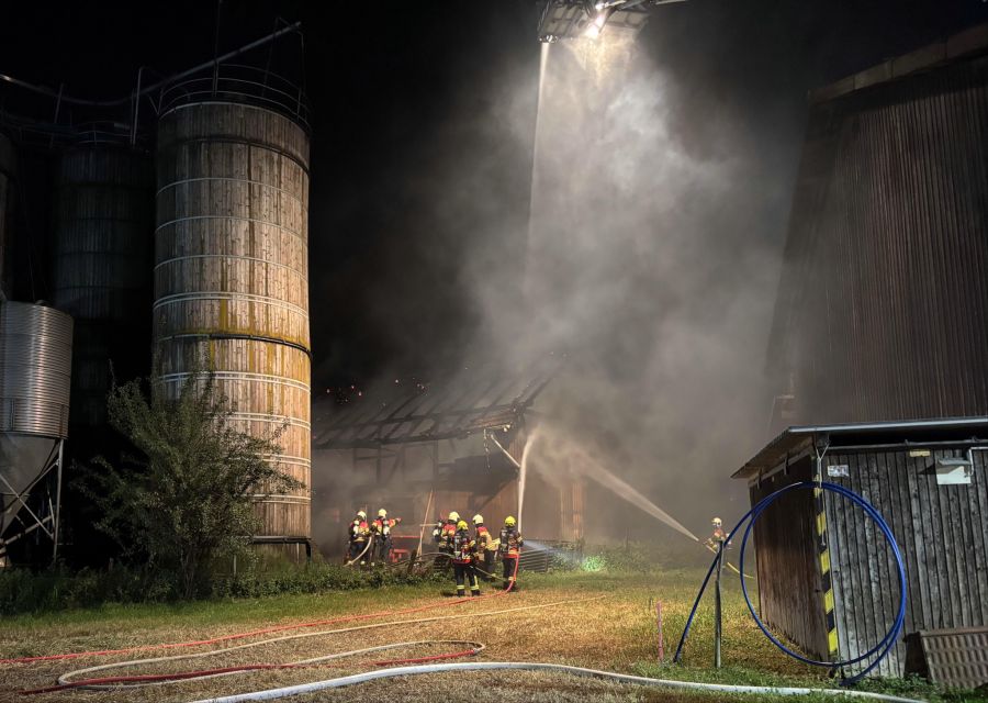 200 Legehennen sind bei dem Brand verendet.