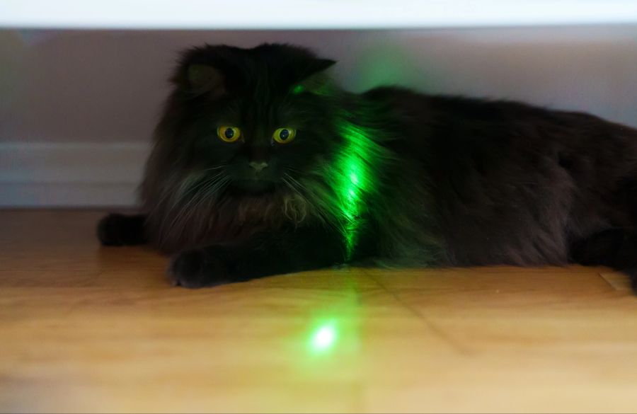 Katzenspielzeug