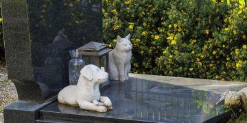Grab Marmor Hund Katze