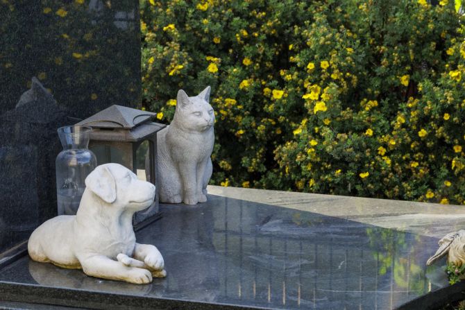 Grab Marmor Hund Katze