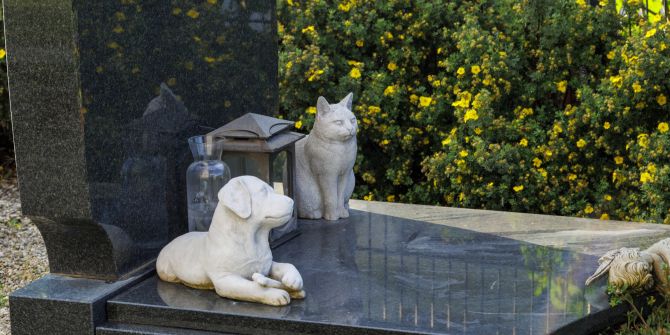 Grab Marmor Hund Katze