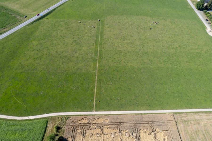 Die Tiere sollen sich dann in einem bestimmten Perimeter aufhalten.