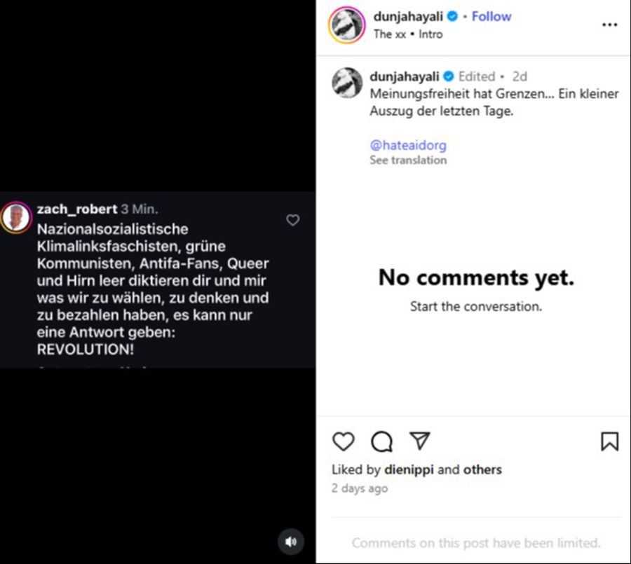 Einige der Hass-Kommentare gegen Dunja Hayali.