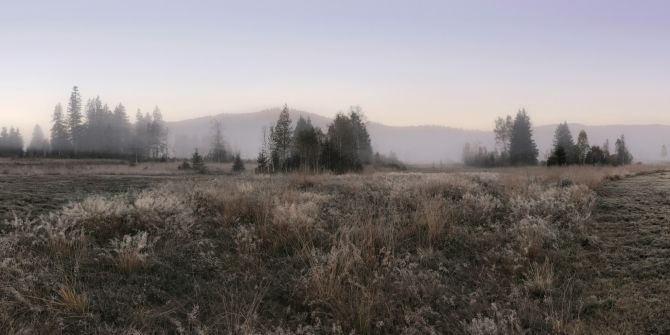 Moorwanderung Moor Rothenturm