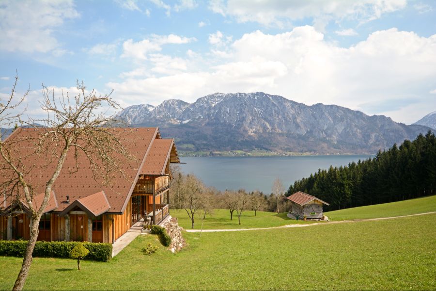 Immobilien