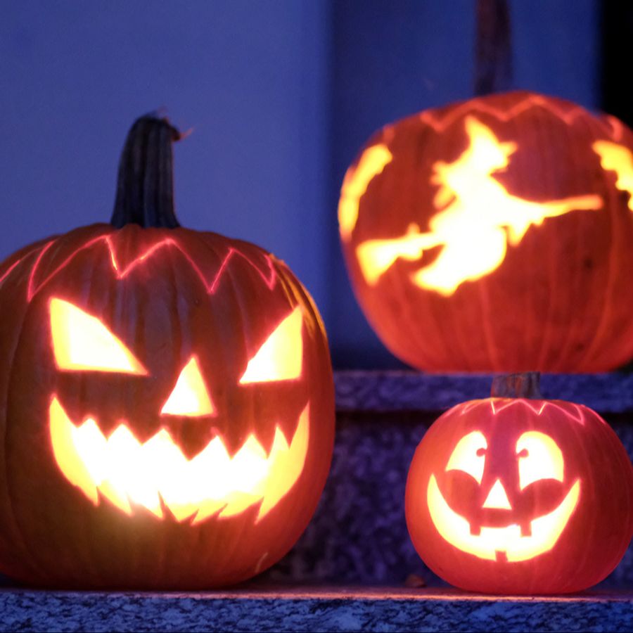 Regli schlägt vor, unterwegs einige Checkpoints einzurichten.