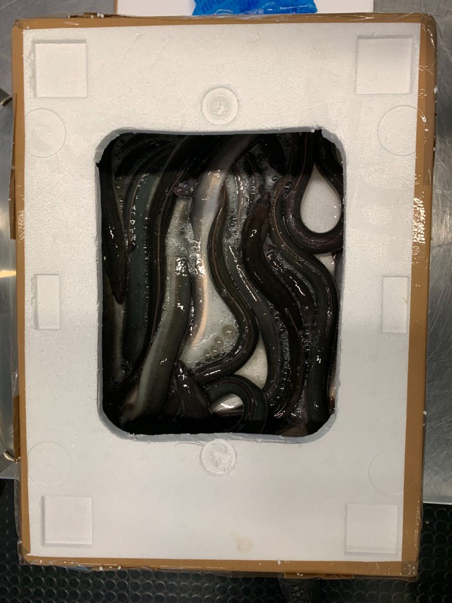 Der Fahrer gab an, diese seien für den privaten Verzehr vorgesehen.