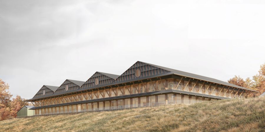 Projekt für Arealentwicklung