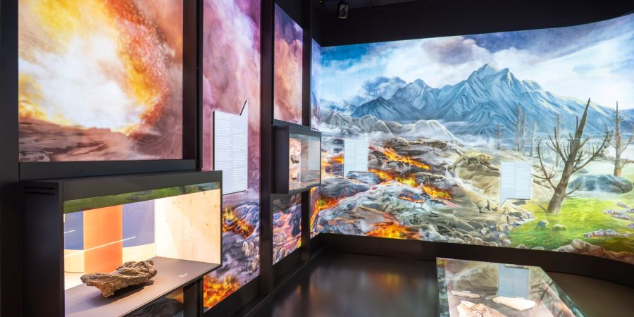 Museum Raum Gestaltung Erde