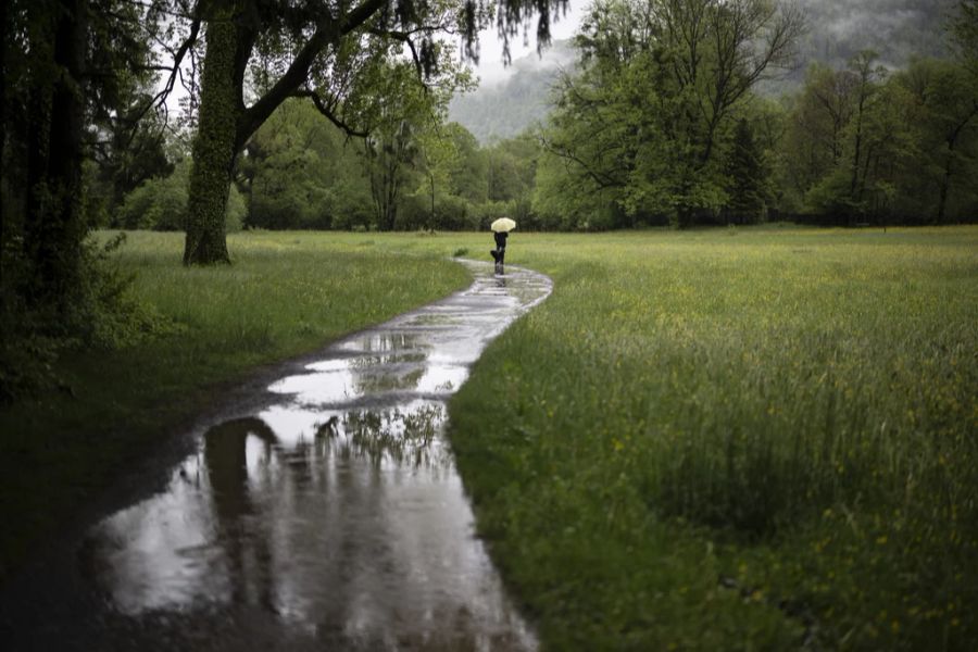 Auch die Bauern dürften mittlerweile froh sein, wenn der Regen dann vorbei ist. (Archivbild)