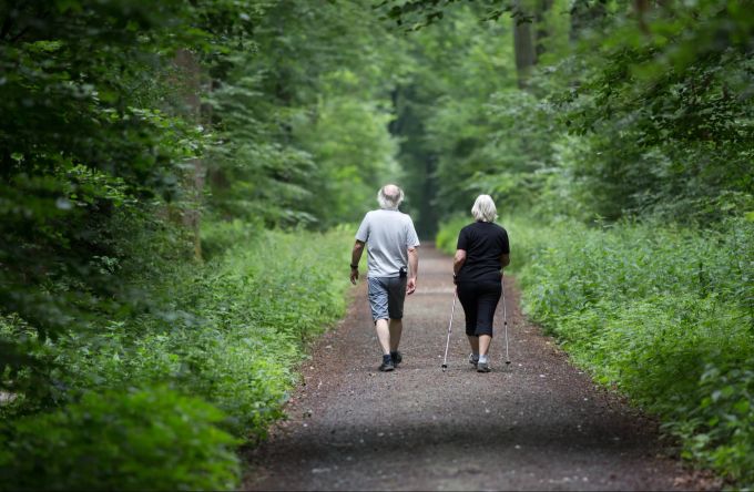 Ein Spaziergang im Wald beflügelt die Gedanken. Spaziergang