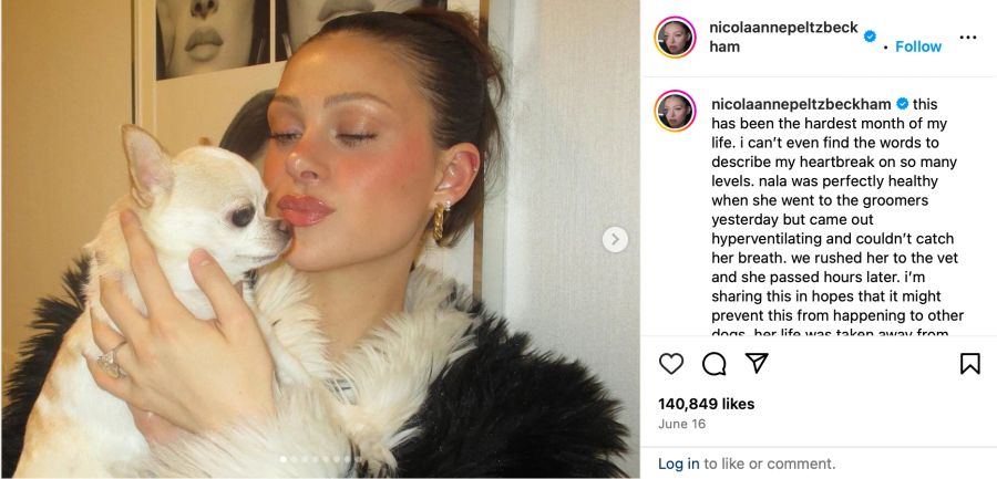 nicola peltz beckham nala