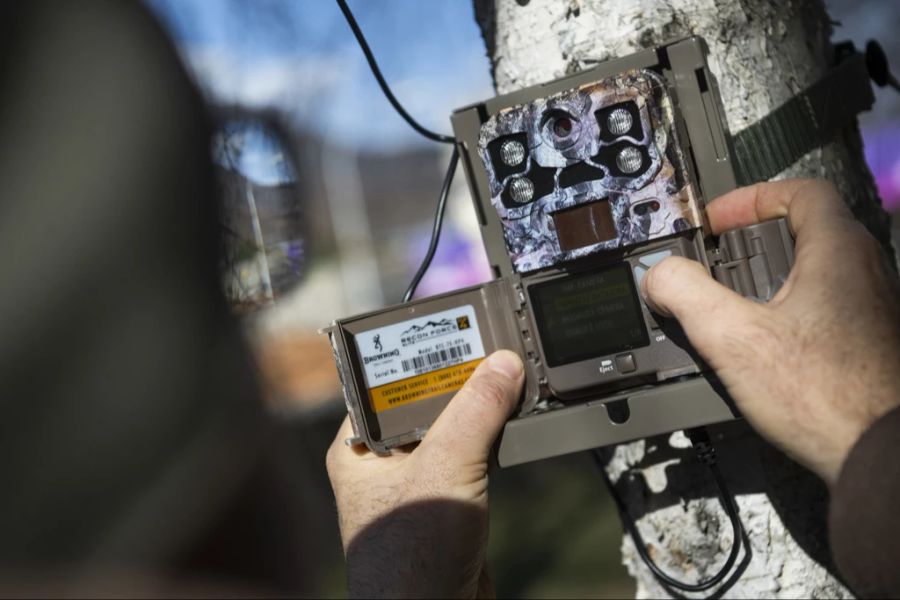 So sehen die Fotofallen aus, die vom Amt für Jagd und Fischerei (hier in Tessin) aufgestellt werden. (Archivbild)