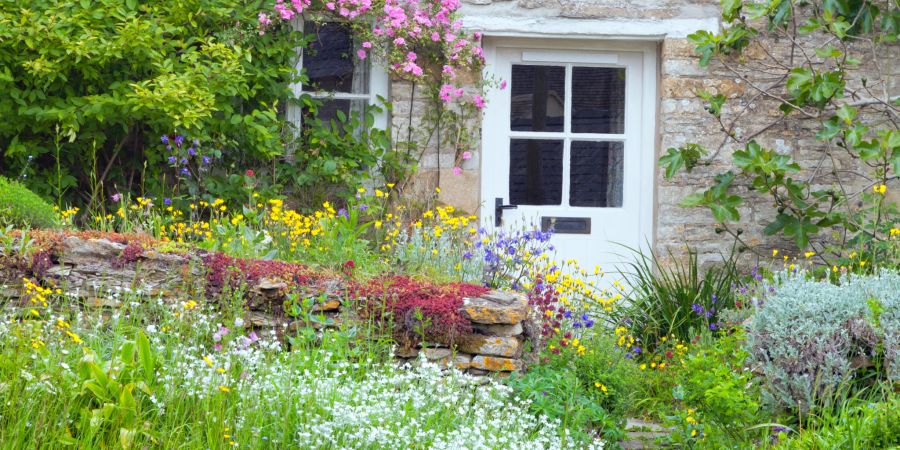 garten, blumen, mauer, cottage