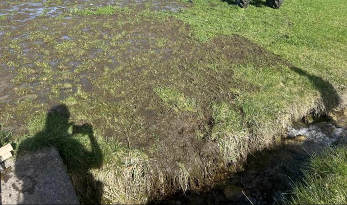 Der Schaden an Flora und Fauna konnte nicht konkret beziffert werden. ebnat kappel gülle