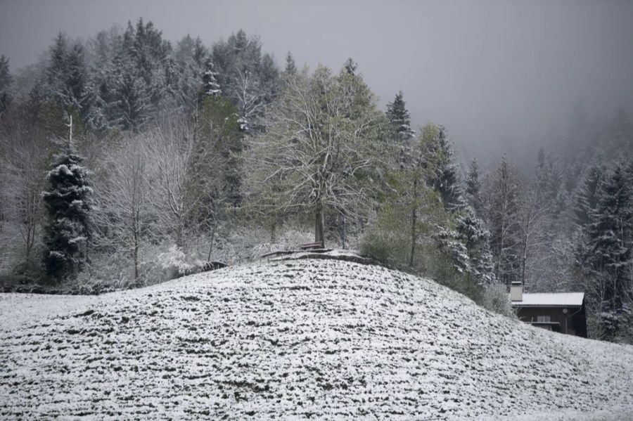 Vor allem am Alpennordhang ist mit Neuschnee zu rechnen.