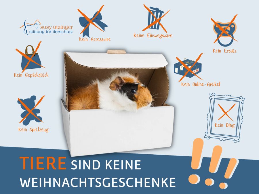 Susy Utzinger Stiftung für Tierschutz