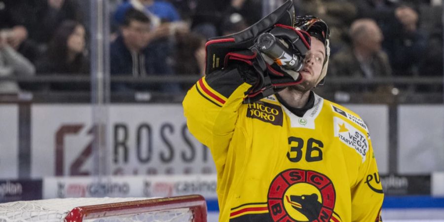 SC Bern