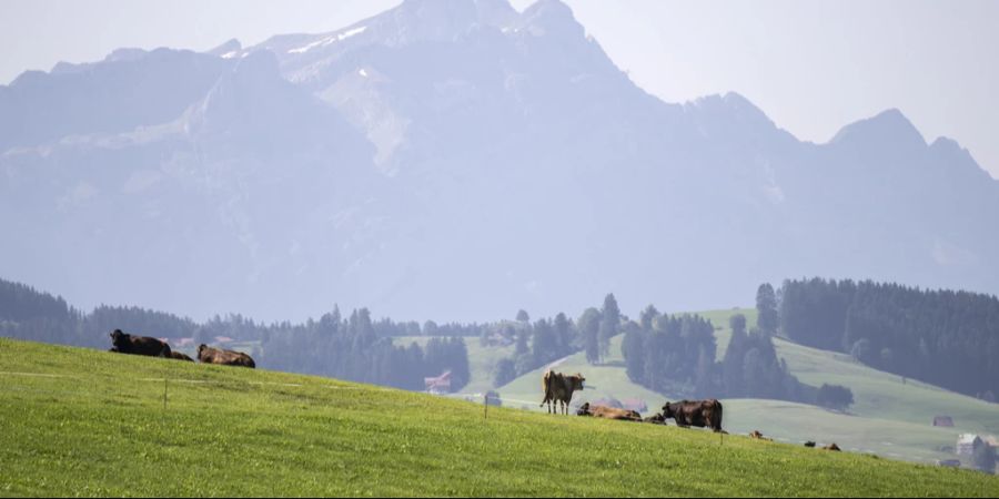 Eggersrieter Höhe