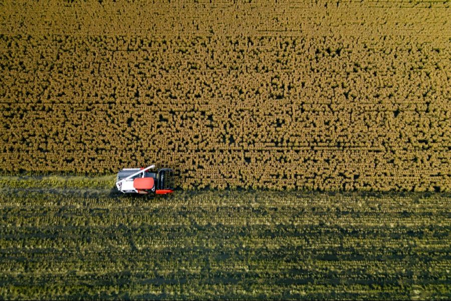 Das Land verliert durch die Umwandlung in Landwirtschaftsfläche massiv an Wert.