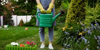 Garten, Mensch im Garten