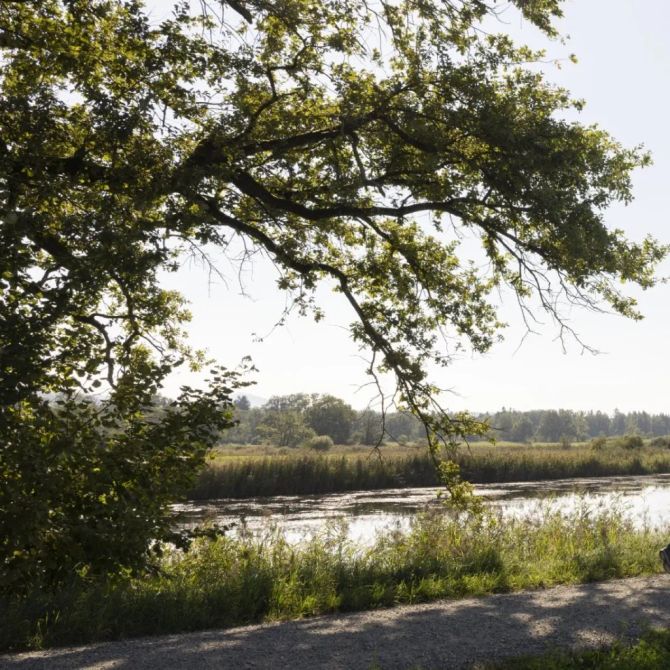 See Spazierweg Frau Mann