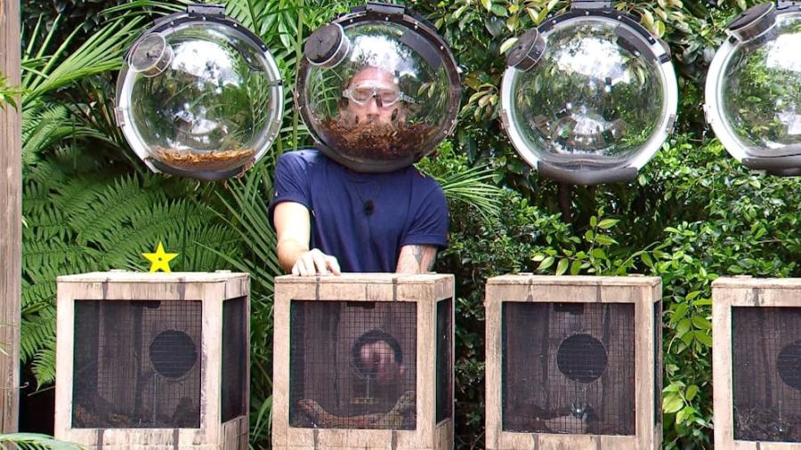 In einer Glaskugel steckt Gil Ofarim seinen Kopf hinein, nach und nach wurden kribbelige Dschungeltiere hineingeschüttet. Ohne Sicht musste er aus einer Holztruhe die weiteren Sterne sichern.