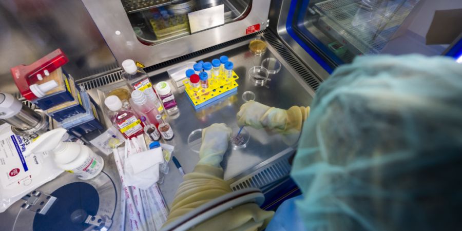 Eine biomedizinische Analytikerin seziert ein Stück Haut, um es zu vermehren und im Zellproduktionszentrum des CHUV in Epalinges VD zu kultivieren. Das Labor ist auf die Herstellung vo...