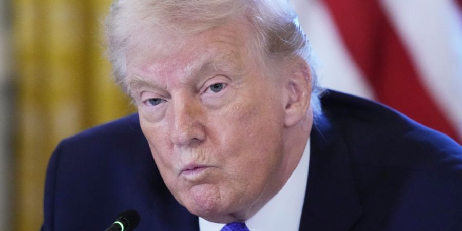 US-Präsident Donald Trump nimmt im East Room des Weißen Hauses in Washington an einem Treffen mit Ölmanagern teil. Foto: Alex Brandon/AP/dpa