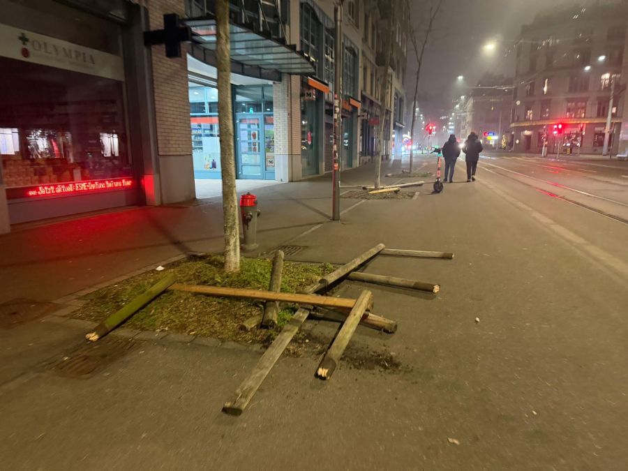 Die Chaoten liessen ihrer Zerstörungswut freie Bahn.