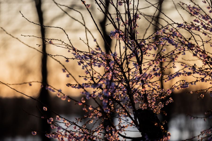 Im Flachland fühlte es sich eher wie Frühling an.