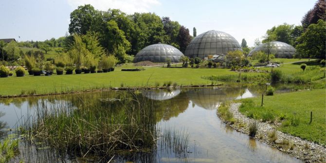 Botanischer Garten Zürich