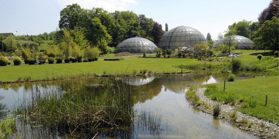 Botanischer Garten Zürich